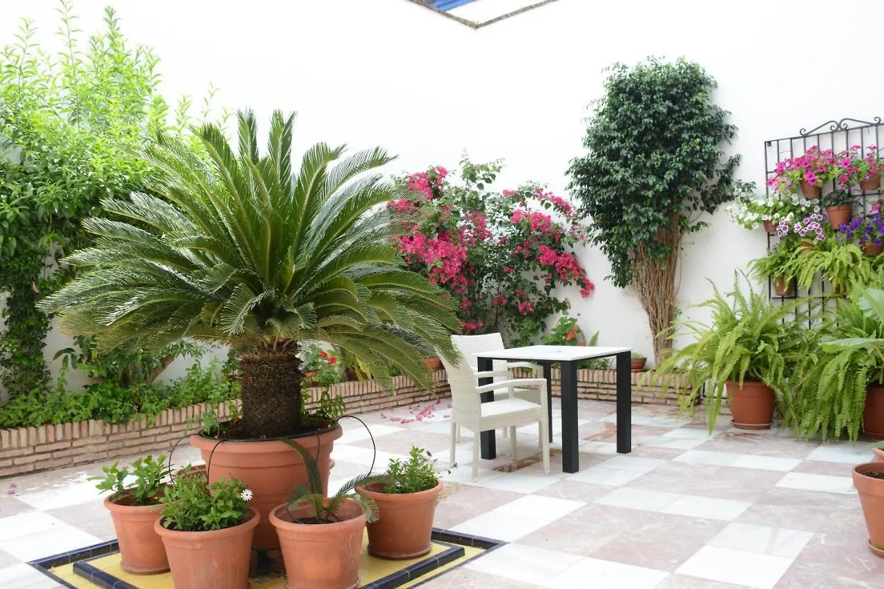 Apartment Apartamento 2 Dormitorios Cordoba